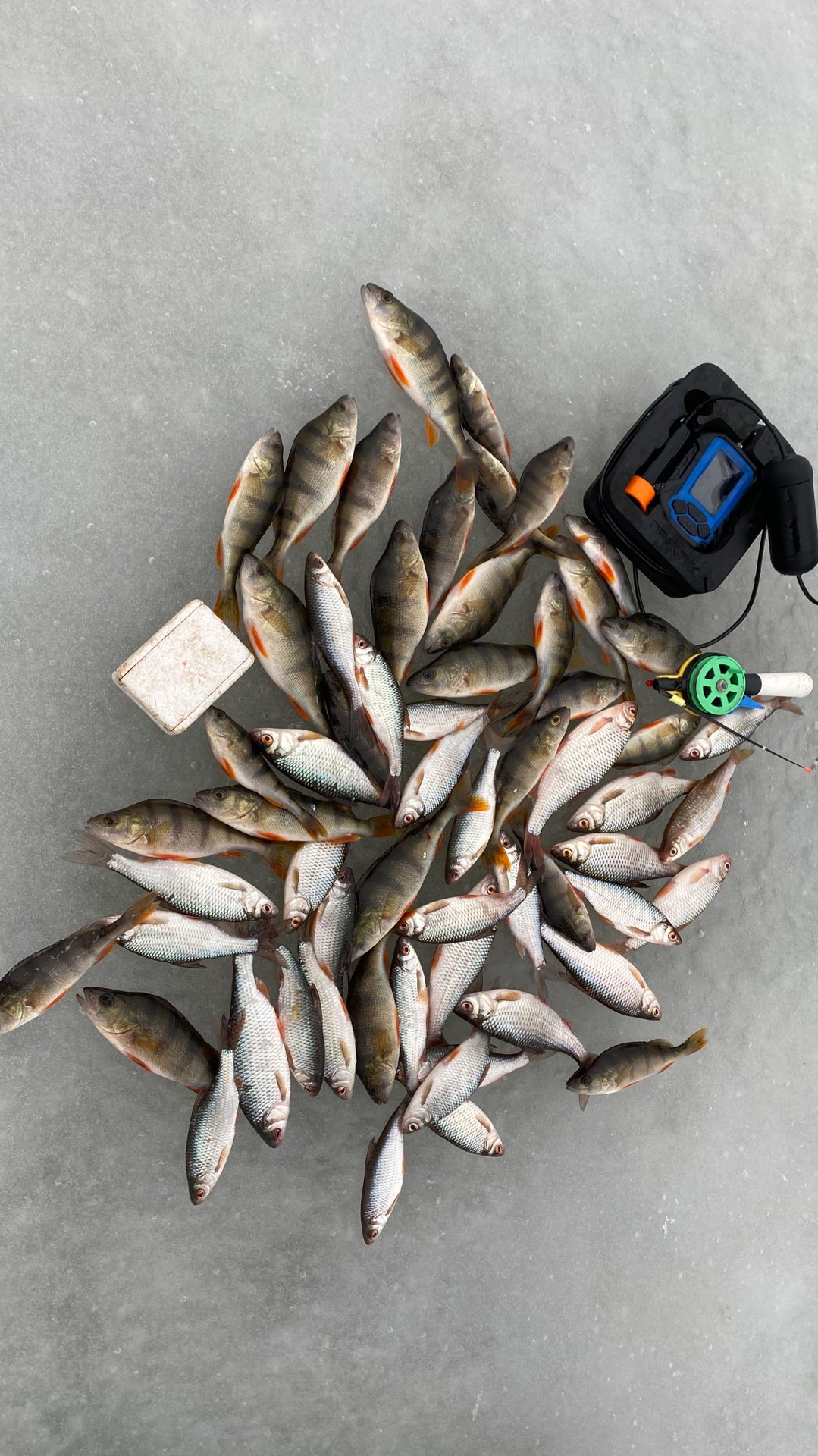 РЫБАЛКА С ЭХОЛОТОМ ПРАКТИК 8!!#рыбалка #природа #зимняярыбалка смотреть онлайн