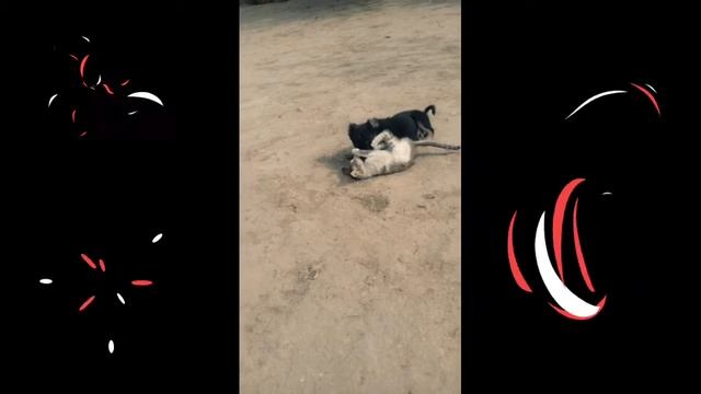 😮😮😮Пишак Сага хурд😮😮😮 смотреть онлайн
