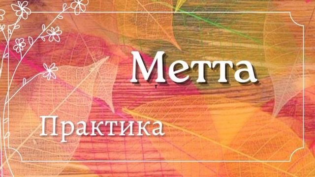 День 5. Утро. Практика метта. смотреть онлайн