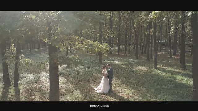 WedCLIP смотреть онлайн