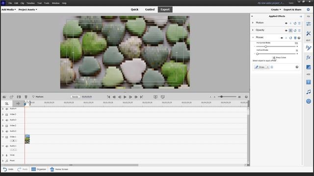 Premiere Elements - Lesson 191 - Mosaic And Noise