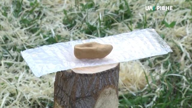 У Рівному майстри вирізають казкові скульптури на всеукраїнському фестивалі смотреть онлайн