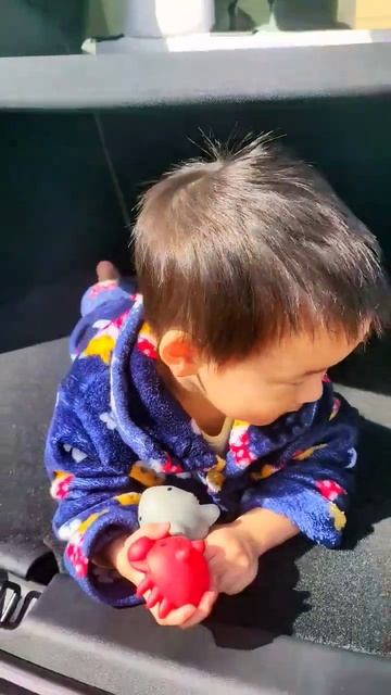 Is Tesla Designed For KIDS?