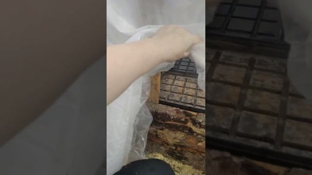рассада капусты смотреть онлайн