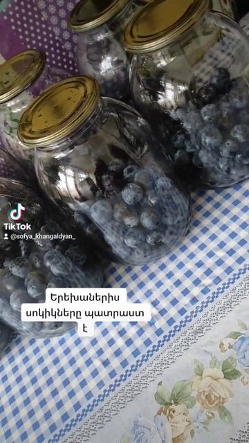 ծորիի եւ հոնի կոմպոտներ