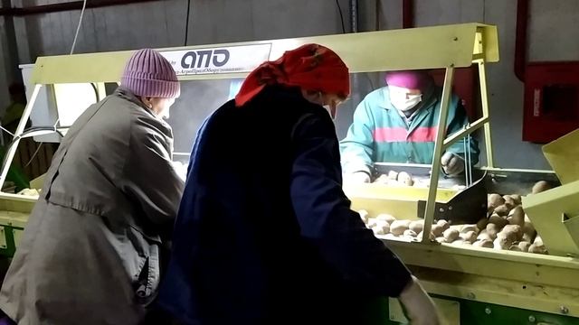 Линия по сухой очистке, чистке, сортировке, калибровке, упаковке, фасовке овощей, картофеля смотреть онлайн