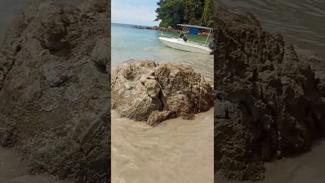 15 ноября 2023 г. смотреть онлайн