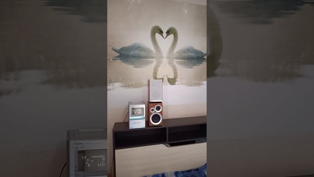 колонки Panasonic SA PM41 к муз.центру Panasonic SA-PM91D смотреть онлайн