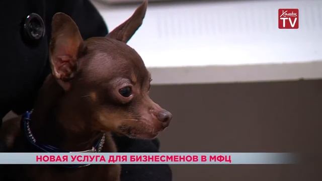 24.01.2017 В МФЦ появилась новая услуга для бизнесменов