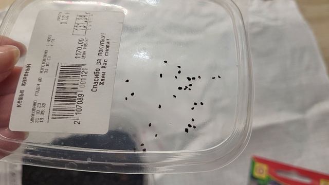 ОБЯЗАТЕЛЬНО ПОСЕЙТЕ ГЕЛИОТРОП! ОН УКРАСИТ ВАШ САД! смотреть онлайн