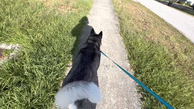 НАШ СОВМЕСТНЫЙ ВЫХОДНОЙ👍