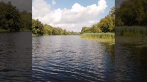 Летние дни на рыбалке