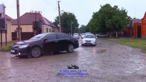 Чеченская свадьба очень красивая. от студии Шархан