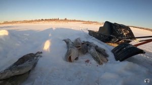 (53). Рыбалка. Кулак в пасти налима. 25.01.2022