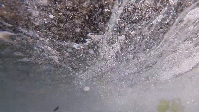 Movavi   ХЕРСОНЕС  2020