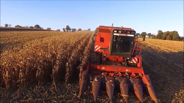 Récolte de maïs grain 2017 [AXIAL-FLOW 1640 & PUMA 195 CVX] смотреть онлайн