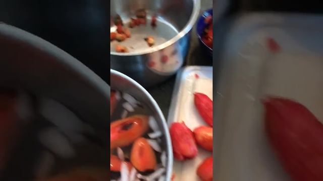 Prepping Tomatoes for Salsa смотреть онлайн