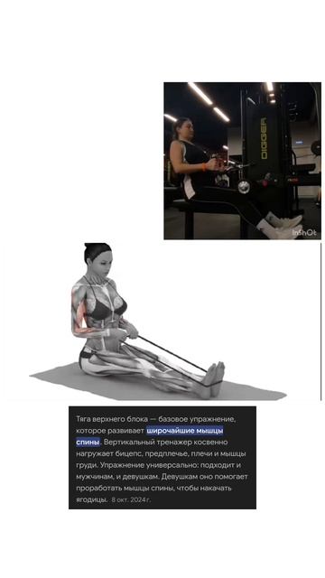 ШПАРГАЛКА #shotrs