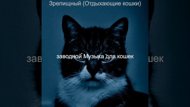 Звуки (Отдыхающие кошки) смотреть онлайн