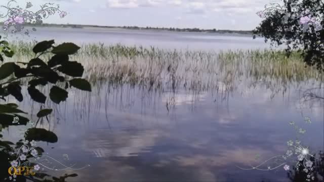 РОДНИКОВЫЙ КРАЙ