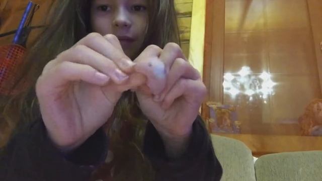 Мои  сквиши