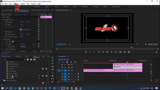 LOGO BERPUTAR DAN BERKILAU  BEGROUND TRANSPARAN ADOBE PREMIERE