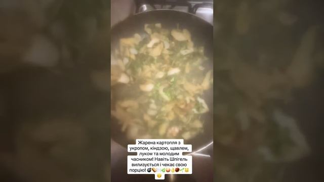 Картошка с укропом, киндзой, щавелем, луком, чесноком! Шпигель облизывается, ждёт свою порцию! 🐱😋 смотреть онлайн