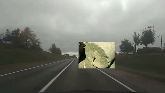 Доказательства фальсификации истории. Арматура в древних статуях смотреть онлайн