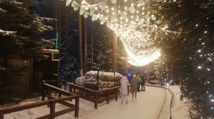 Лесной каток в «Охта Парке»