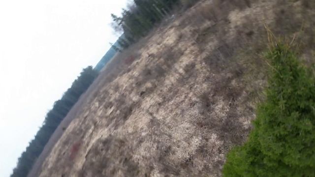 GEPRC Cinelog35 v2 - Forest смотреть онлайн