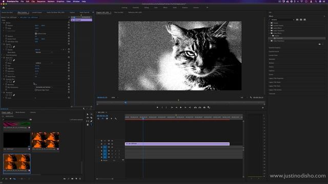 How to create a Pop Art Video Effect in Adobe Premiere Pro CC! смотреть онлайн