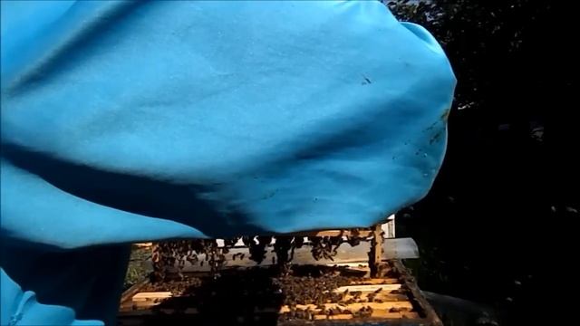 Воспиталка смотреть онлайн