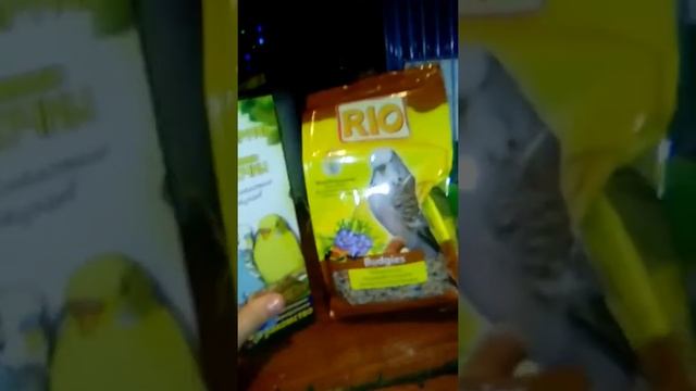 Обзор на покупки смотреть онлайн