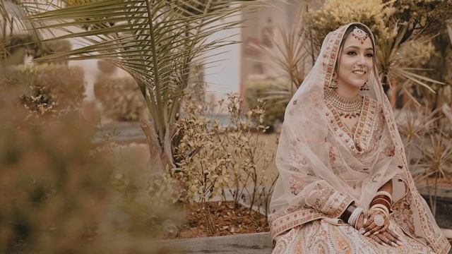 Wedding Cinematic Color Luts Download | Premiere Editors смотреть онлайн