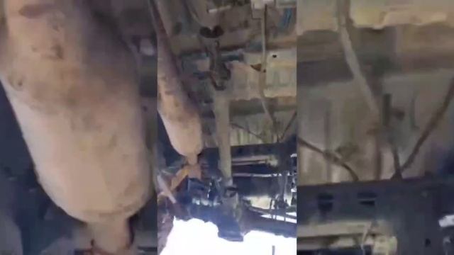 Aligator Lexus 80 First Step смотреть онлайн