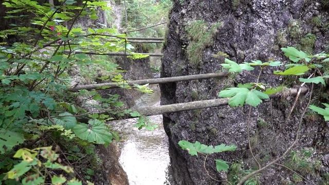 Bobrovecká a Juráňová dolina, vrch Magura - 23.8. 2021 смотреть онлайн