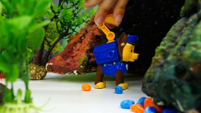 Щенячий Патруль в поисках – куда пропала Скай? Шоу для детей Тойклаб – ищем игрушки! смотреть онлайн