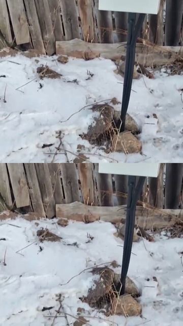 А что ещё сделали?