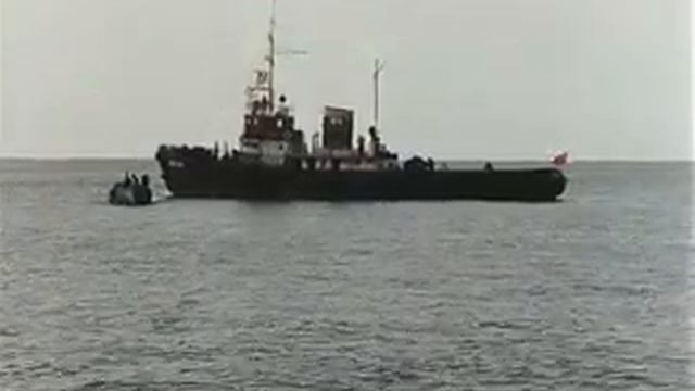 Чёрный орёл 1988 г. ‧ Боевик/Триллер смотреть онлайн