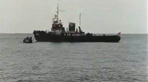 Чёрный орёл 1988 г. ‧ Боевик/Триллер