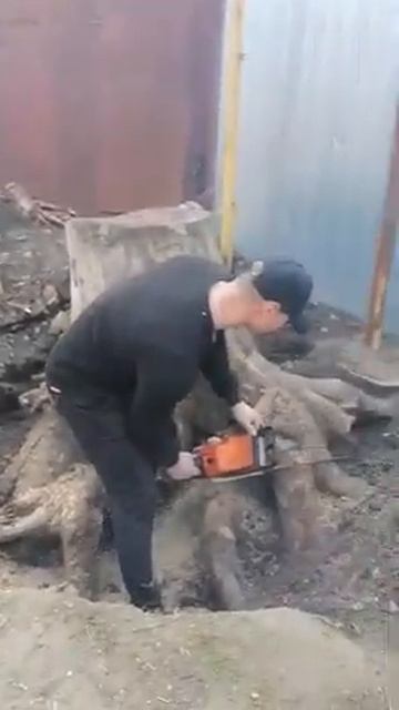 Корчевание пней в Воронеже от Демонтаж.VRN смотреть онлайн