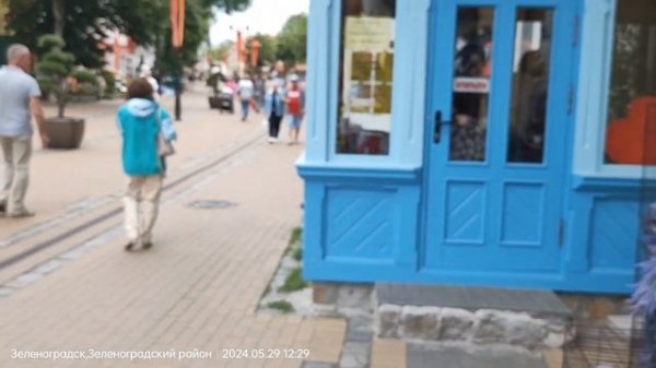 САМЫЙ КОШАЧИЙ ГОРОД!