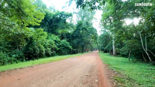 4K Driving Tour From Bayon Temple To West Entrance Of Angkor Thom (August 2021)🌱Life In Cambodia