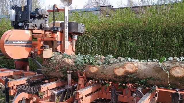 Planken zagen met dehoutsmid.be смотреть онлайн