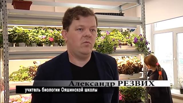 3 тысячи цветов вырастили ояшинские школьники смотреть онлайн