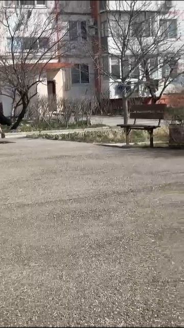 Контраст! смотреть онлайн