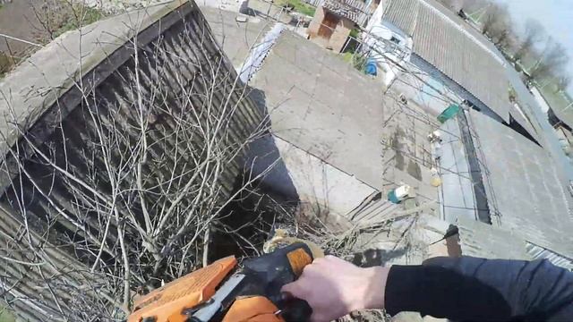 Спиливаем Опасный Орех