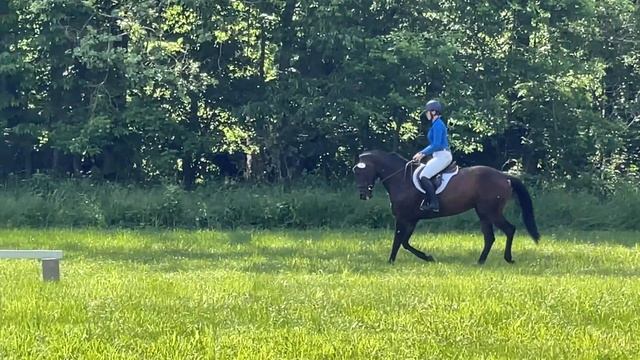 Mini-Event Horse Show Vlog! // Going off course, getting a new truck!? смотреть онлайн