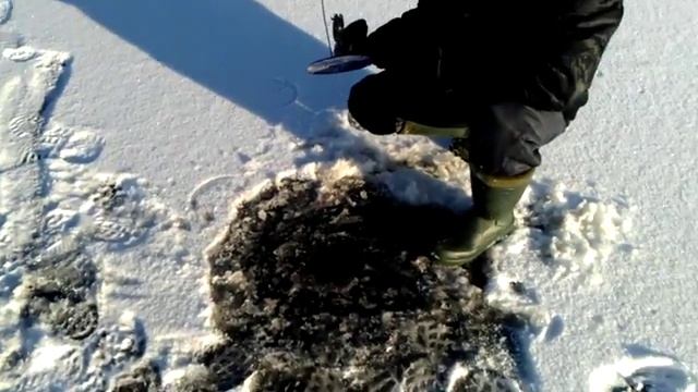 лоля на жерлицу1 смотреть онлайн