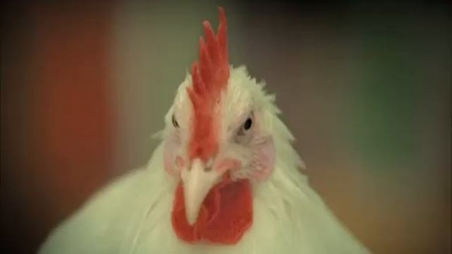 samsung 20 arm 4 mini (4-3).avi смотреть онлайн